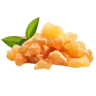 Boswellia